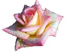 611a537c (227x170, 38Kb)