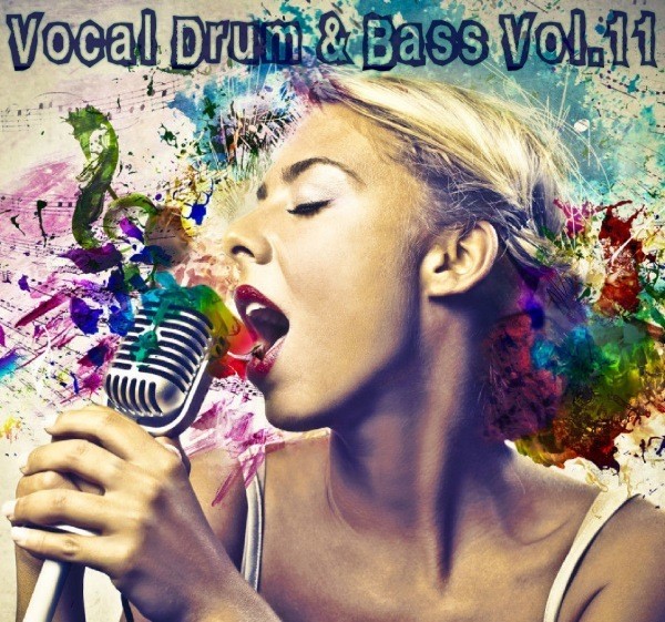 VA - Vocal Drum & Bass Vol.11 (2017)